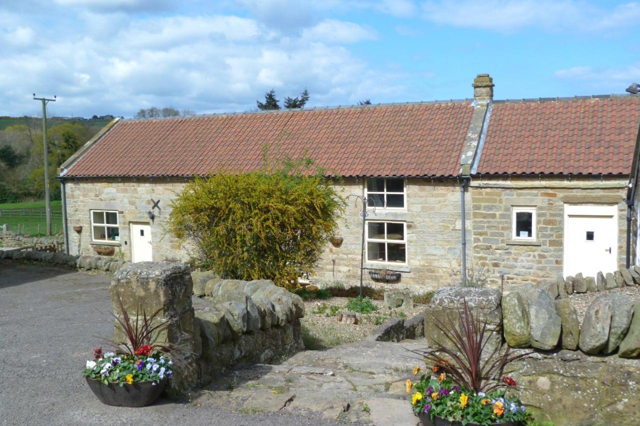 Apartmán Hayburnbeckfarm Scarborough Exteriér fotografie